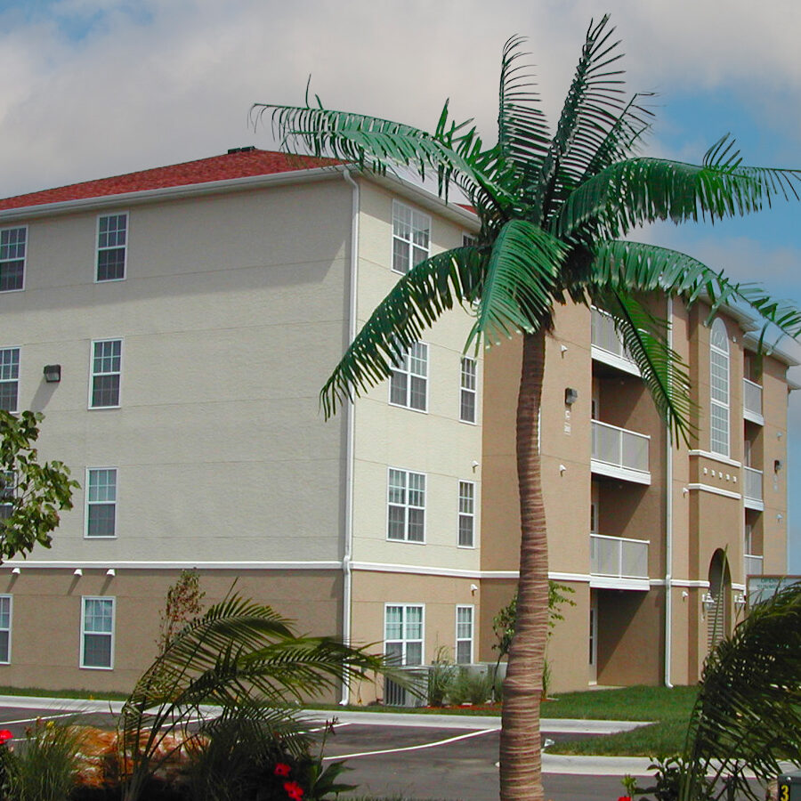Artificial Outdoor Tropical Palm Trees outside hotel