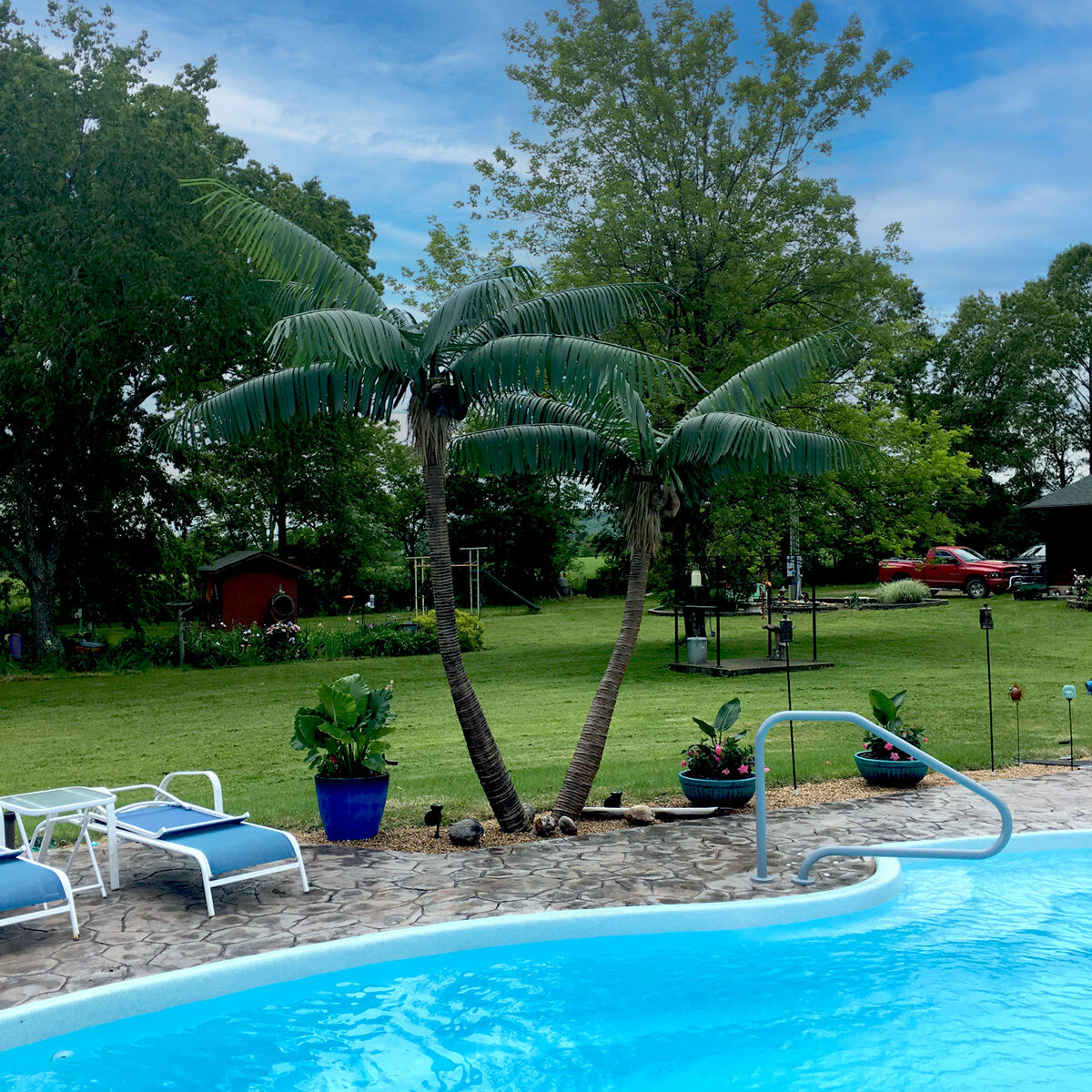 Artificial Outdoor Tropical Palm Trees near a pool